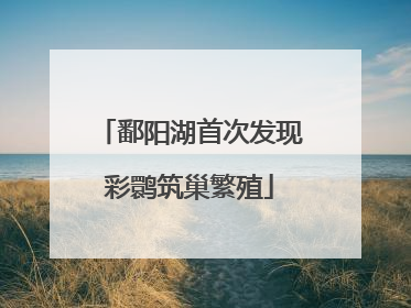 鄱阳湖首次发现彩鹮筑巢繁殖