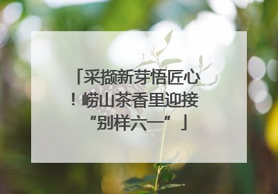 采撷新芽悟匠心！崂山茶香里迎接“别样六一”