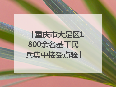 重庆市大足区1800余名基干民兵集中接受点验