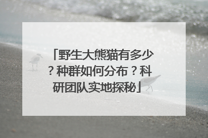 野生大熊猫有多少？种群如何分布？科研团队实地探秘