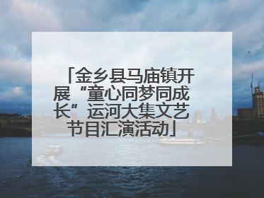 金乡县马庙镇开展“童心同梦同成长”运河大集文艺节目汇演活动