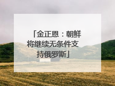 金正恩：朝鲜将继续无条件支持俄罗斯