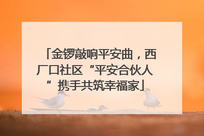 金锣敲响平安曲，西厂口社区“平安合伙人”携手共筑幸福家