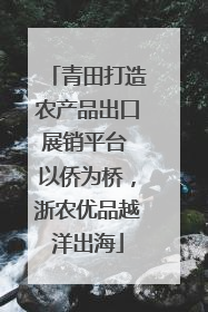 青田打造农产品出口展销平台 以侨为桥，浙农优品越洋出海