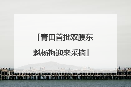 青田首批双膜东魁杨梅迎来采摘