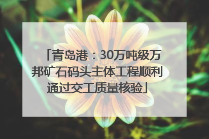 青岛港：30万吨级万邦矿石码头主体工程顺利通过交工质量核验