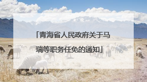 青海省人民政府关于马瑞等职务任免的通知