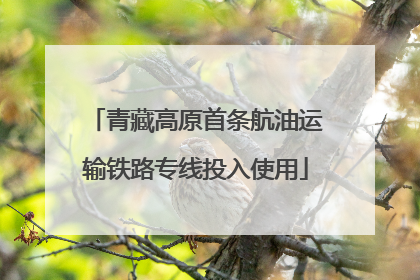 青藏高原首条航油运输铁路专线投入使用