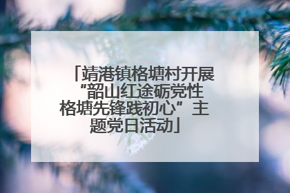 靖港镇格塘村开展“韶山红途砺党性 格塘先锋践初心”主题党日活动
