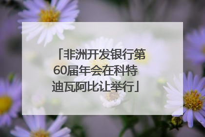 非洲开发银行第60届年会在科特迪瓦阿比让举行