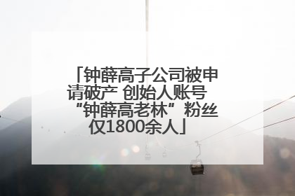 钟薛高子公司被申请破产 创始人账号“钟薛高老林”粉丝仅1800余人
