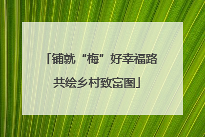 铺就“梅”好幸福路 共绘乡村致富图
