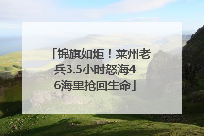 锦旗如炬！莱州老兵3.5小时怒海46海里抢回生命
