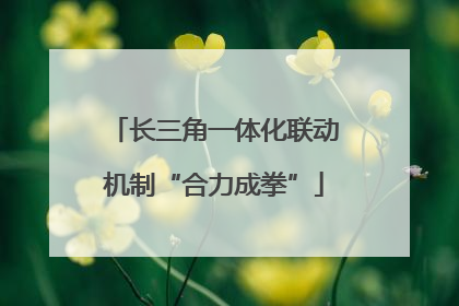 长三角一体化联动机制“合力成拳”