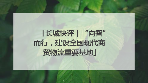 长城快评｜“向智”而行，建设全国现代商贸物流重要基地