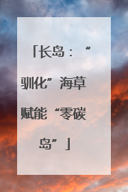 长岛：“驯化”海草赋能“零碳岛”