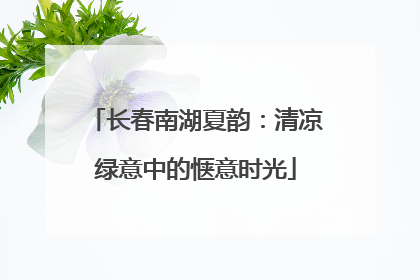 长春南湖夏韵：清凉绿意中的惬意时光