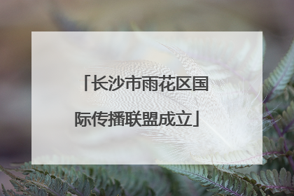 长沙市雨花区国际传播联盟成立