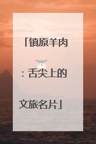 镇原羊肉：舌尖上的文旅名片