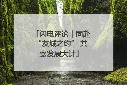 闪电评论｜同赴“友城之约” 共襄发展大计