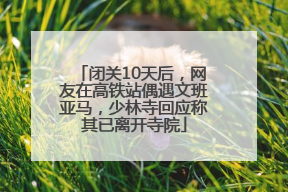 闭关10天后，网友在高铁站偶遇文班亚马，少林寺回应称其已离开寺院