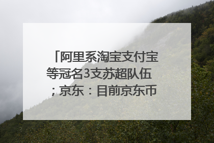 阿里系淘宝支付宝等冠名3支苏超队伍；京东：目前京东币链科技并没有开始发行稳定币｜早资道
