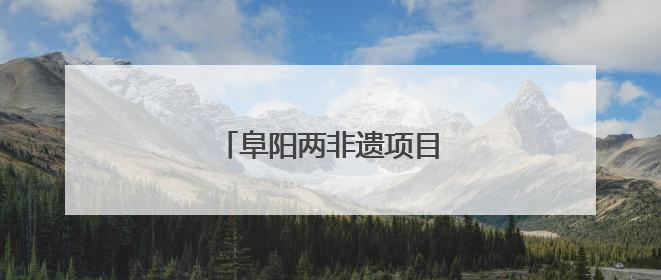 阜阳两非遗项目亮相国际文化节