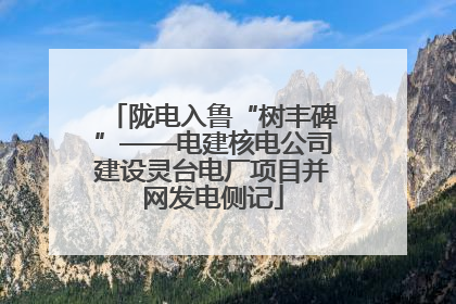 陇电入鲁“树丰碑”——电建核电公司建设灵台电厂项目并网发电侧记