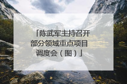 陈武军主持召开部分领域重点项目调度会（图）