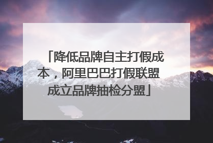 降低品牌自主打假成本，阿里巴巴打假联盟成立品牌抽检分盟