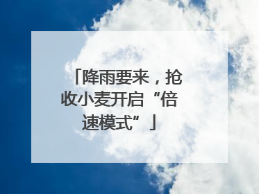 降雨要来，抢收小麦开启“倍速模式”