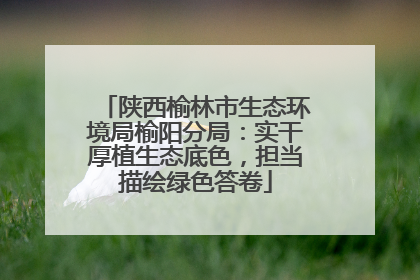 陕西榆林市生态环境局榆阳分局：实干厚植生态底色，担当描绘绿色答卷