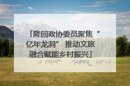 隆回政协委员聚焦“亿年龙洞” 推动文旅融合赋能乡村振兴