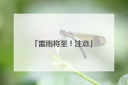 雷雨将至！注意