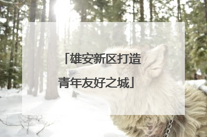 雄安新区打造青年友好之城