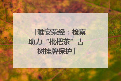 雅安荥经：检察助力“枇杷茶”古树挂牌保护