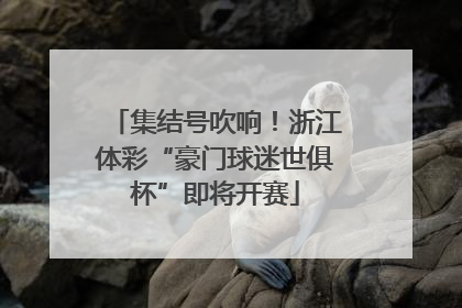 集结号吹响！浙江体彩“豪门球迷世俱杯”即将开赛