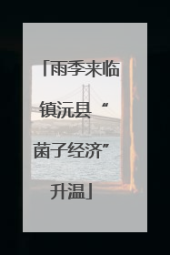 雨季来临 镇沅县“菌子经济”升温