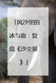 风沙里的冰与血：复盘《沙尘暴》