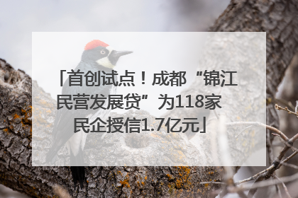 首创试点！成都“锦江民营发展贷”为118家民企授信1.7亿元