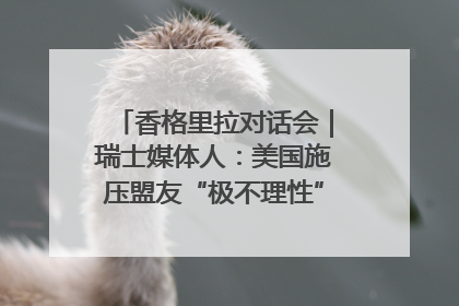 香格里拉对话会｜瑞士媒体人：美国施压盟友“极不理性” 欧洲国家无意与中国“脱钩断链”