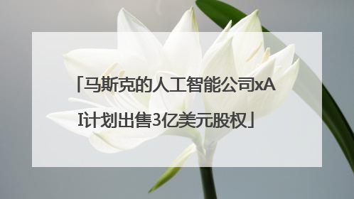 马斯克的人工智能公司xAI计划出售3亿美元股权