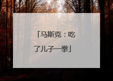 马斯克：吃了儿子一拳