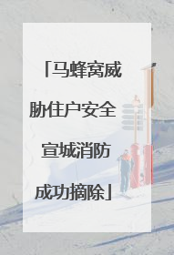 马蜂窝威胁住户安全 宣城消防成功摘除