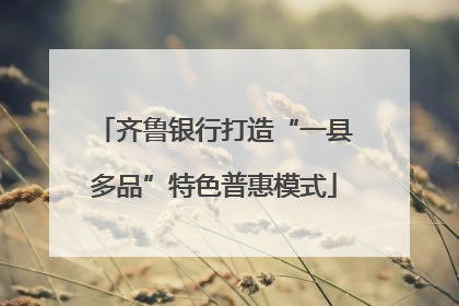 齐鲁银行打造“一县多品”特色普惠模式