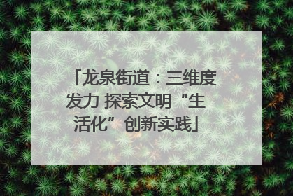 龙泉街道：三维度发力 探索文明“生活化”创新实践