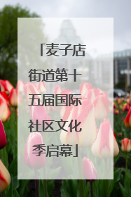 麦子店街道第十五届国际社区文化季启幕