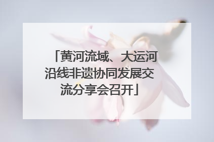 黄河流域、大运河沿线非遗协同发展交流分享会召开