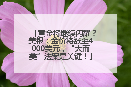 黄金将继续闪耀？美银：金价将涨至4000美元，“大而美”法案是关键！