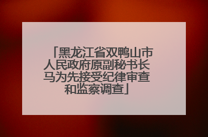黑龙江省双鸭山市人民政府原副秘书长马为先接受纪律审查和监察调查